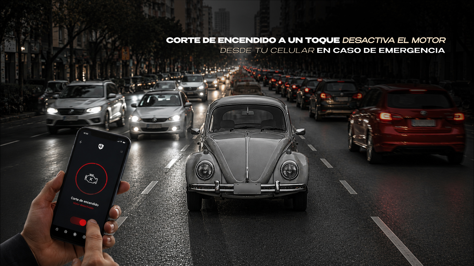 Imagen 3